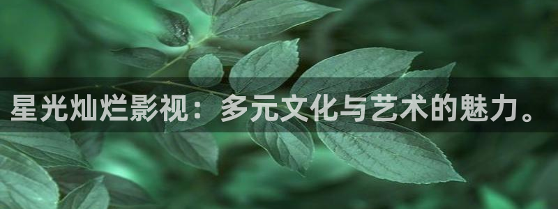 樱桃私人影院在线看