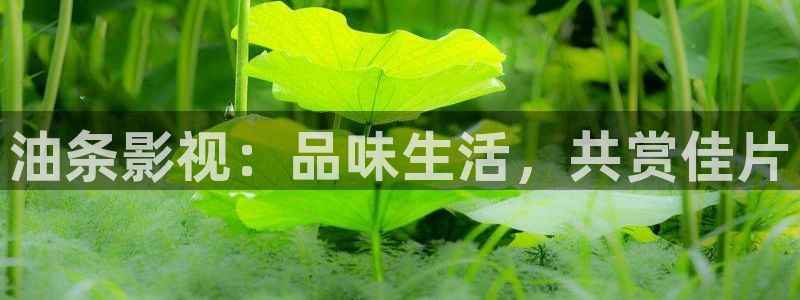 北京私人电影院